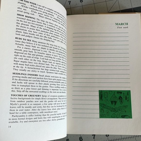 Around the Garden Week by Week, A Guide to Garden Planning... by Joan Lee Faust - Picture 8 of 16